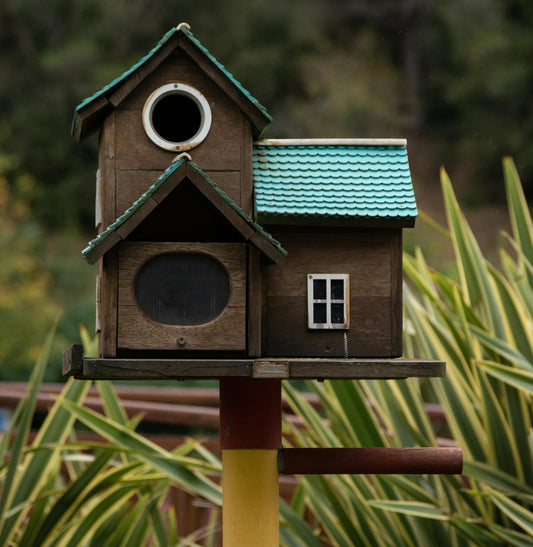 Building the Perfect Birdhouse: A Guide