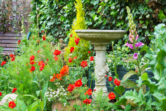 Enhance Your Home with the Tranquility of Bird Baths