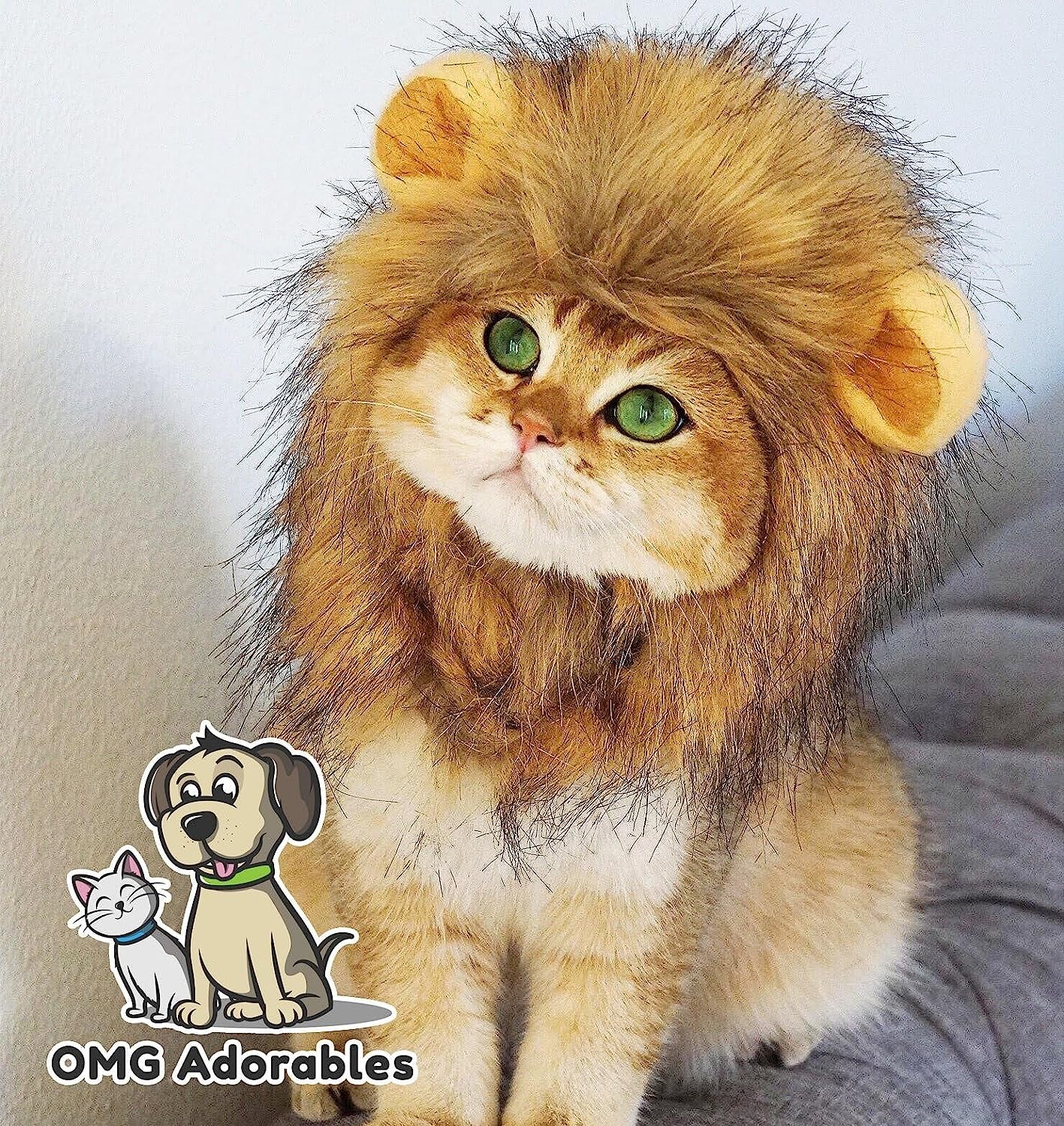 Lion Mane Costume for Cats